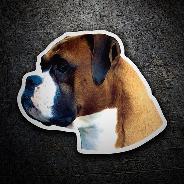 Autocollants: Boxer