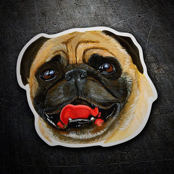 Autocollants: Carlin (Pug)