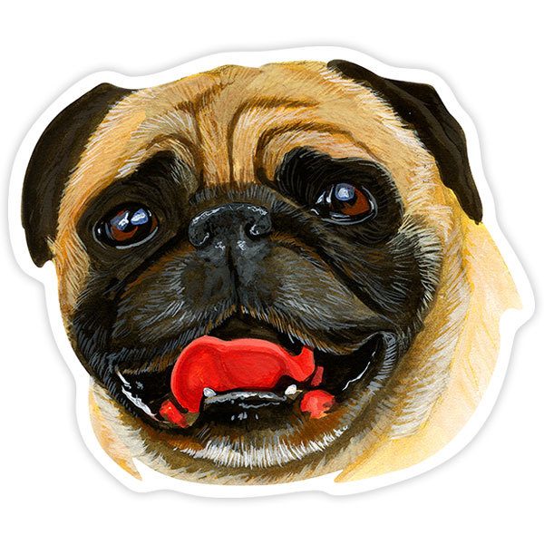 Autocollants: Carlin (Pug)