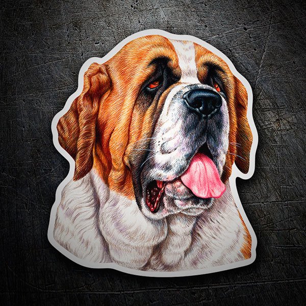 Autocollants: Saint-Bernard