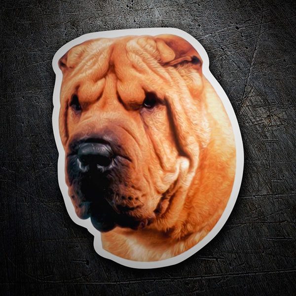 Autocollants: Shar Pei