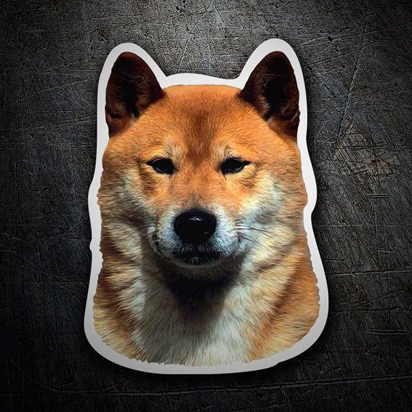 Autocollants: Shiba Inu