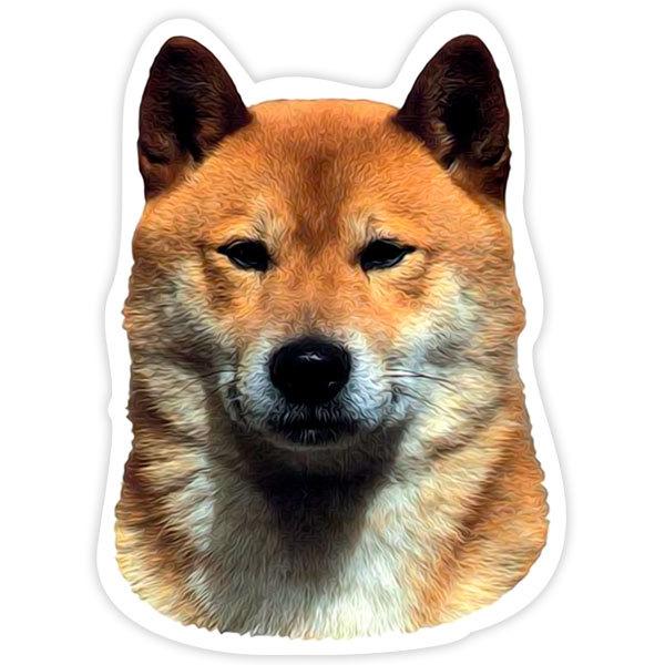 Autocollants: Shiba Inu