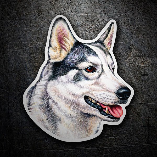 Autocollants: Husky Sibérien
