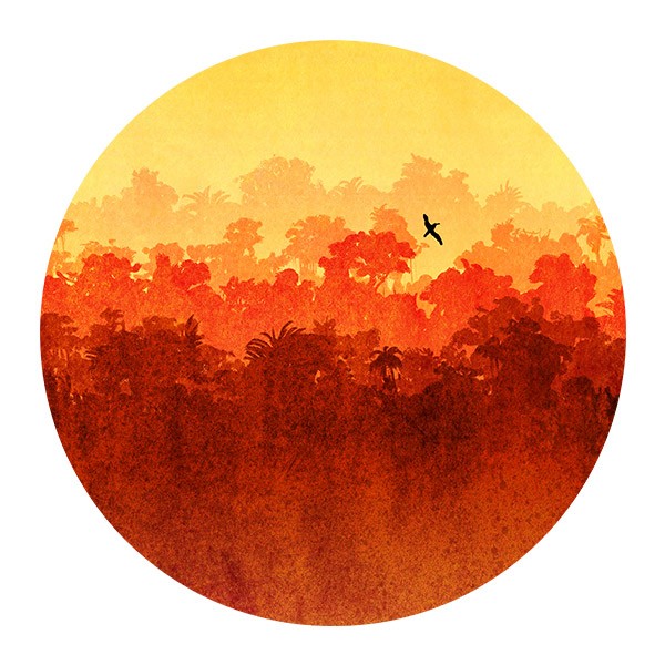 Stickers muraux: Coucher de Soleil dans la Jungle