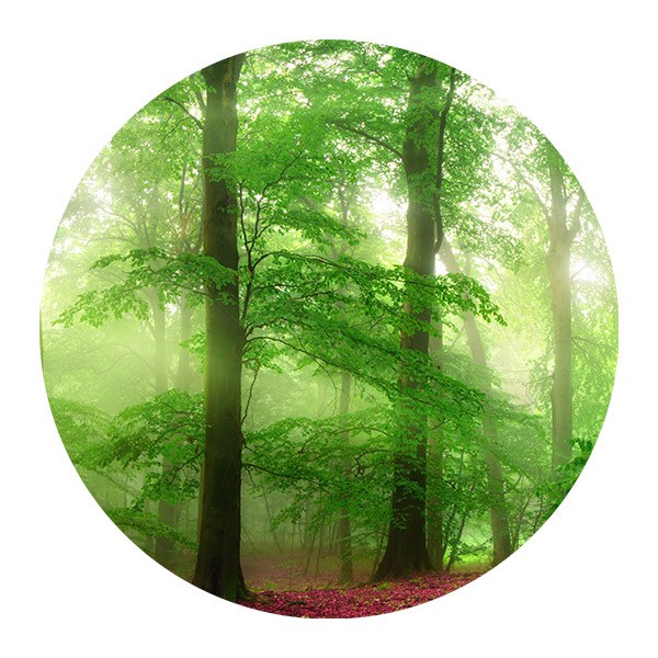 Stickers muraux: Forêt Magique