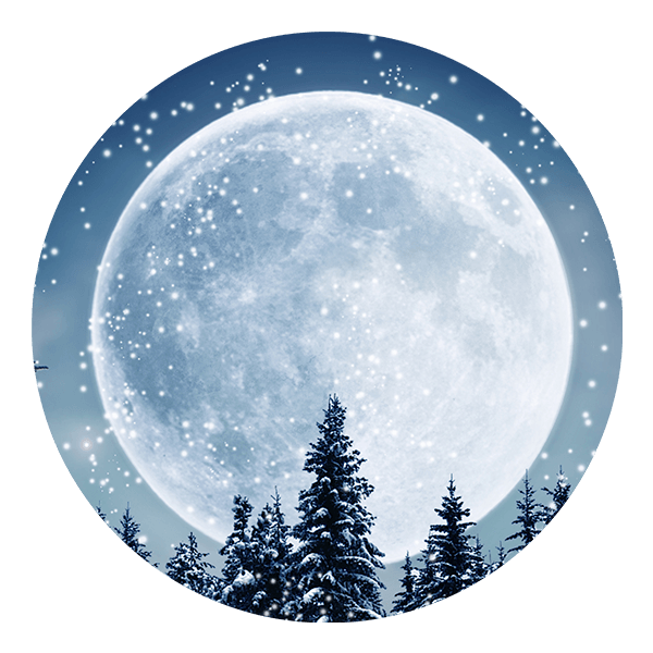 Stickers muraux: Pleine Lune dans la Forêt