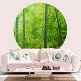 Stickers muraux: Forêt de Bambous