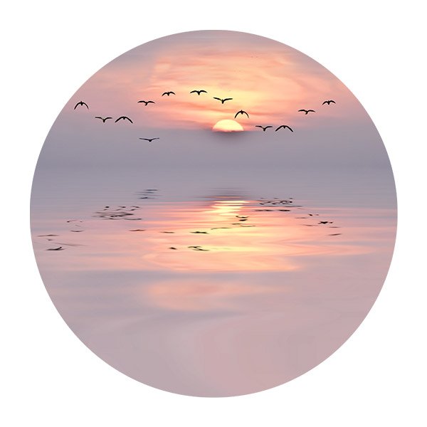 Stickers muraux: Oiseaux au Crépuscule