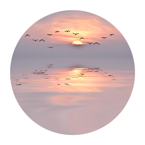 Stickers muraux: Oiseaux au Crépuscule