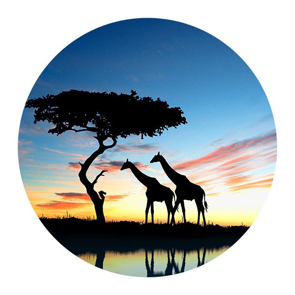 Stickers muraux: Ombres de girafe