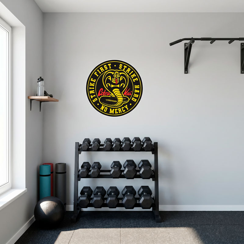 &Eacute;cusson Cobra Kai 6