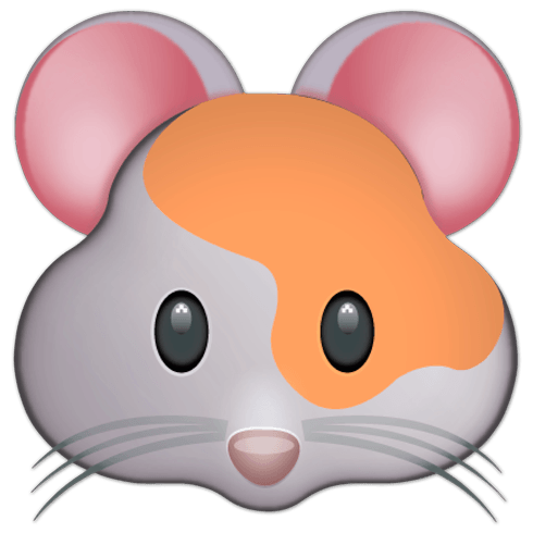 Stickers muraux: Face Hamster