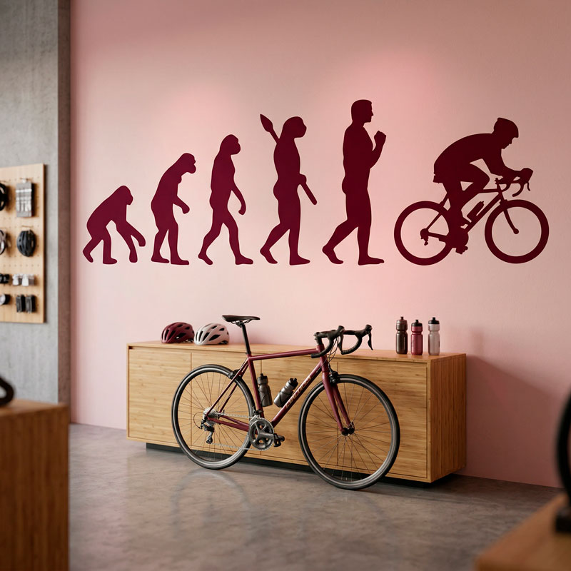 Cyclable &eacute;volution 8/12
