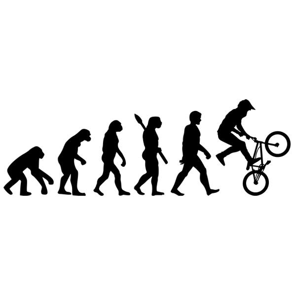 Stickers muraux: BMX Evolution