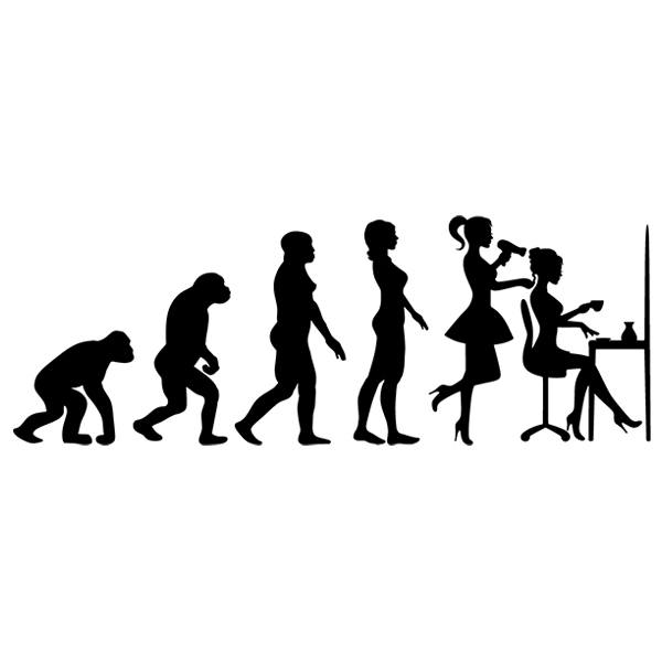 Stickers muraux: Evolution de l