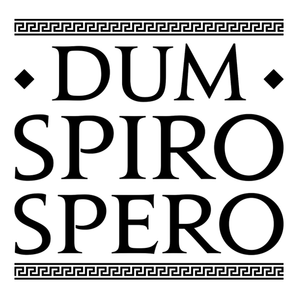 Stickers muraux: Dum Spiro Spero
