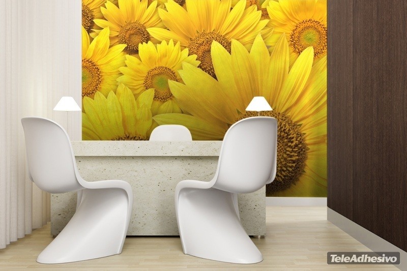 Poster xxl: Tournesols