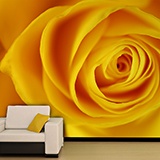 Poster xxl: Jaune Rose 3