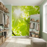 Poster xxl: Feuilles 13