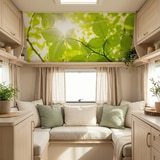 Poster xxl: Feuilles 6