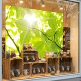 Poster xxl: Feuilles 10