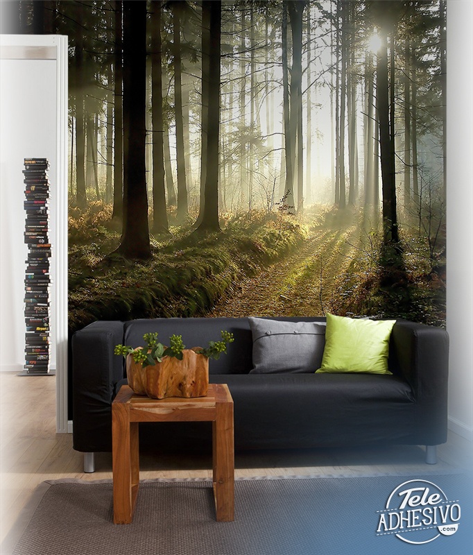 Poster xxl: Forêt mystérieuse