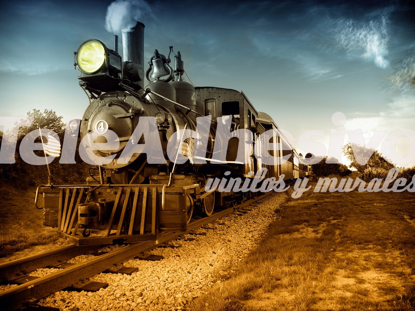 Poster xxl: Locomotive ouest