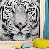Poster xxl: White Tiger 3