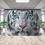 Poster xxl: White Tiger 2