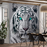 Poster xxl: White Tiger 3