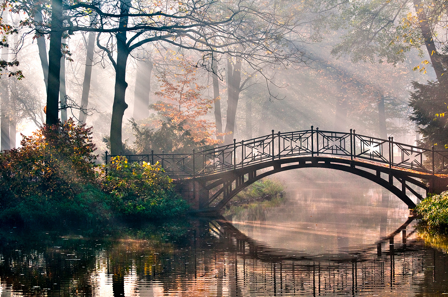 Poster xxl: Pont dans la for&ecirc;t