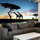 Poster xxl: Coucher de soleil africain 2