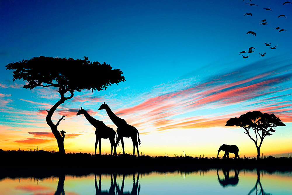 Poster xxl: Coucher de soleil africain