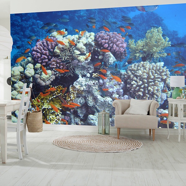 Poster xxl: Nager dans le corail