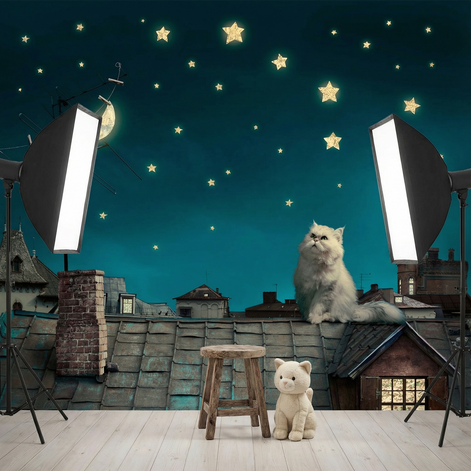 Poster xxl: Chat sur le toit