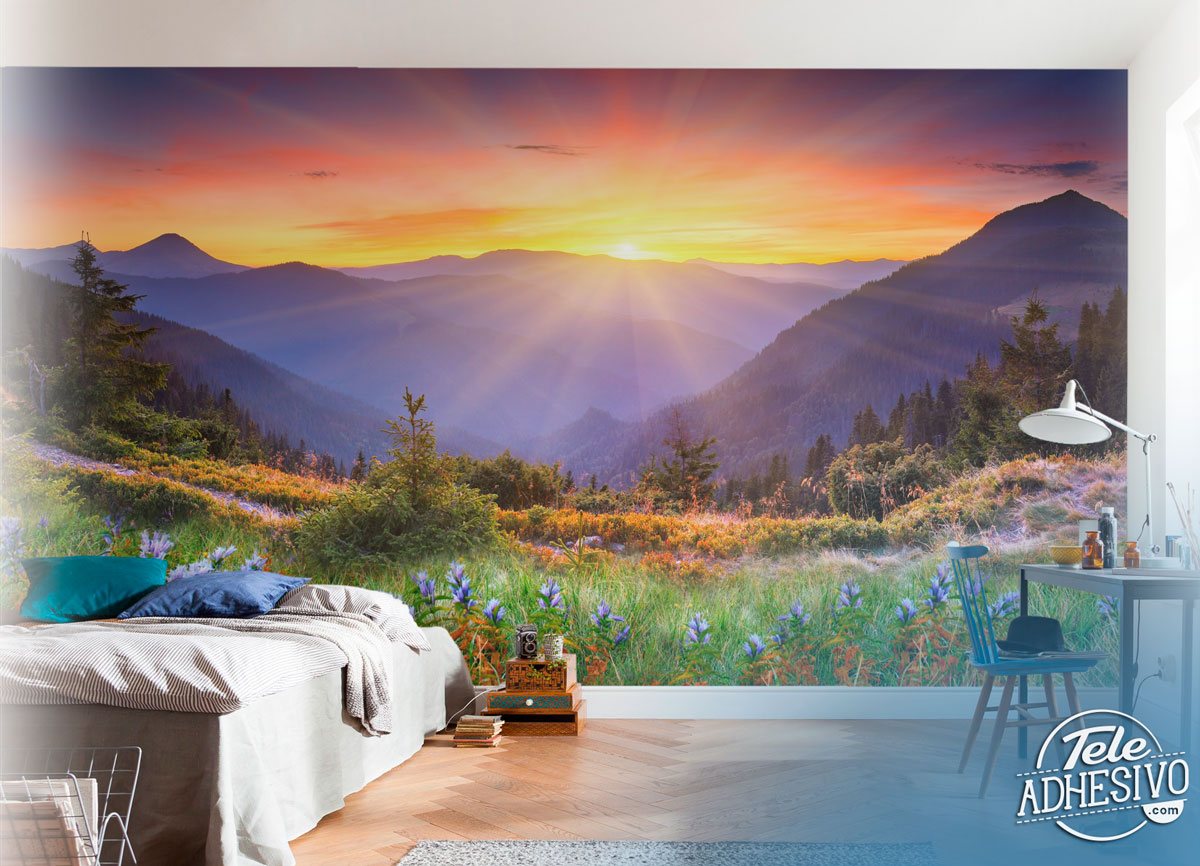 Poster xxl: Coucher de soleil sur le terrain