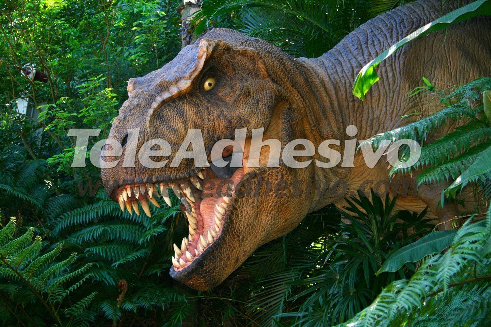 Poster xxl: Tyranosaurus Rex