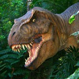 Poster xxl: Tyranosaurus Rex 3