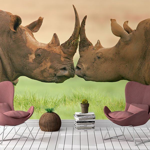 Poster xxl: Rhinocéros