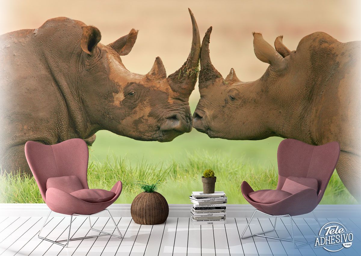 Poster xxl: Rhinocéros