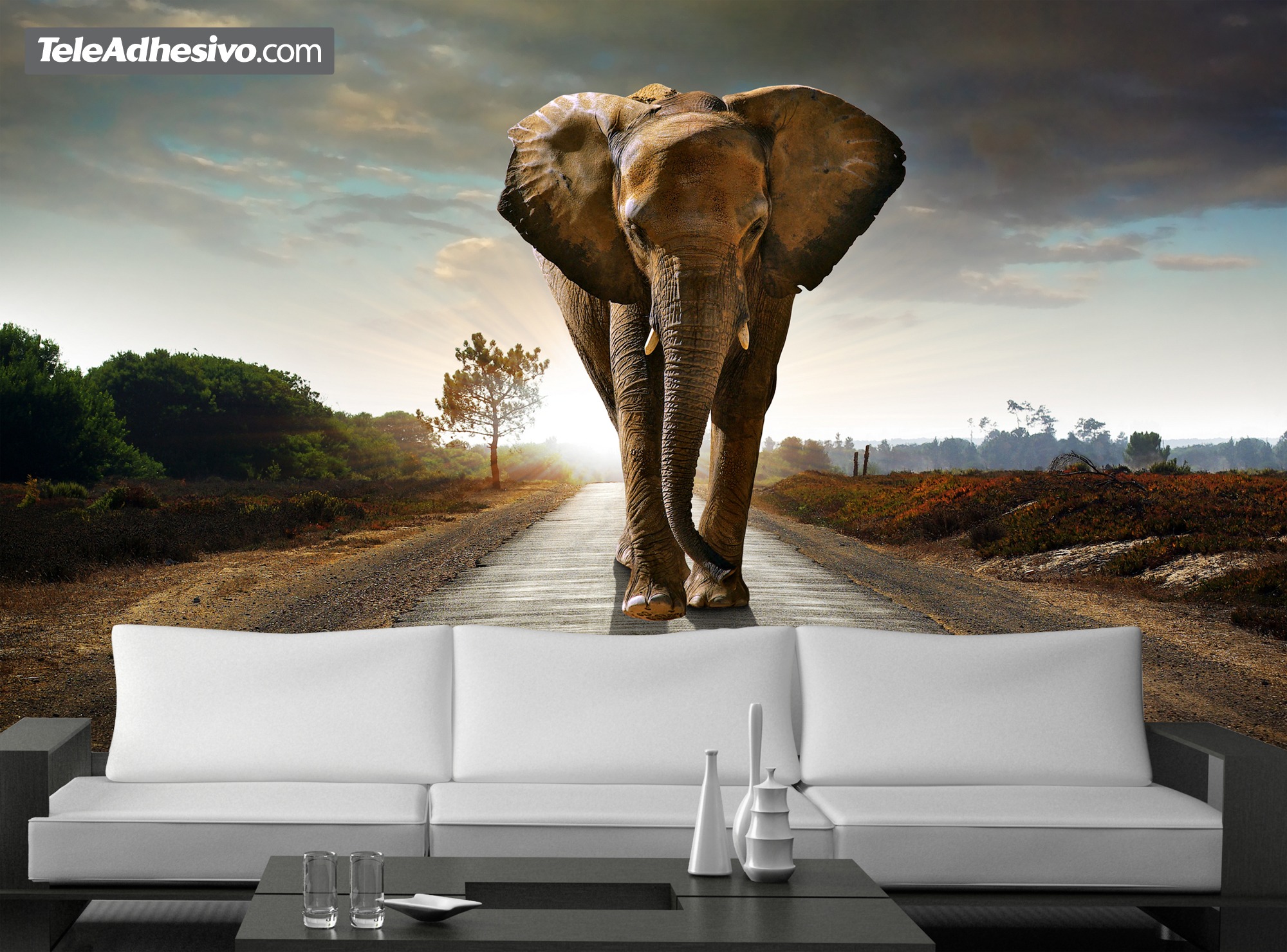 Poster xxl: éléphant