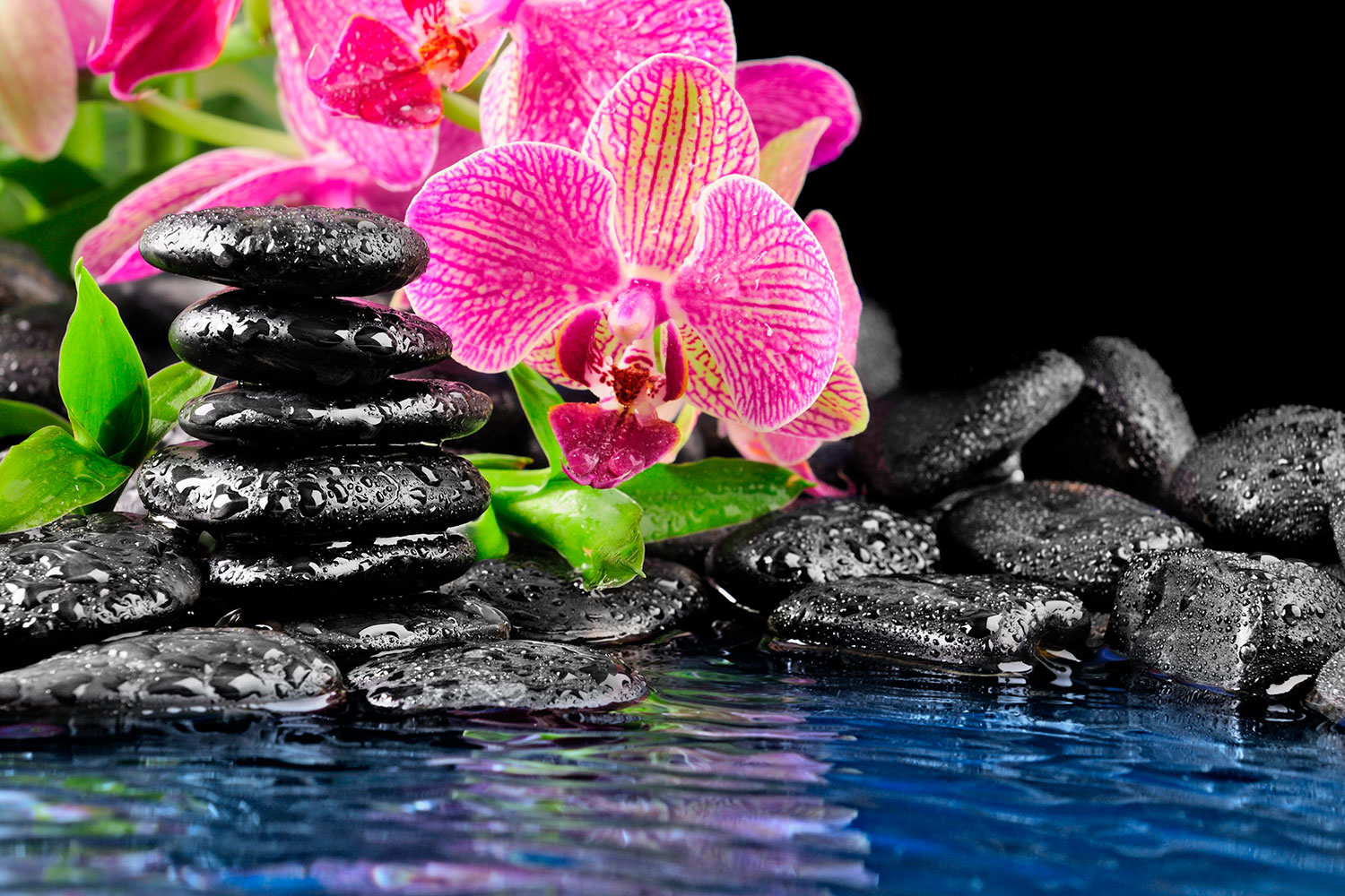 Poster xxl: Orchid et basalte