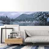 Poster xxl: Paysage d'hiver 2