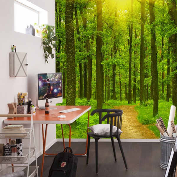 ARTBAY Forêt Poster XXL - 118,8 x 84 cm, Une forêt Magique inondée de  Soleil, Poster de Nature