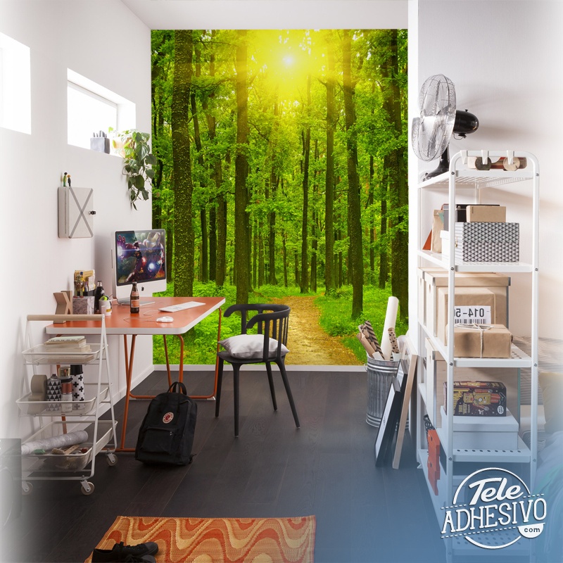 Poster xxl: Coucher de soleil dans la forêt