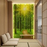 Poster xxl: Coucher de soleil dans la for&ecirc;t 17