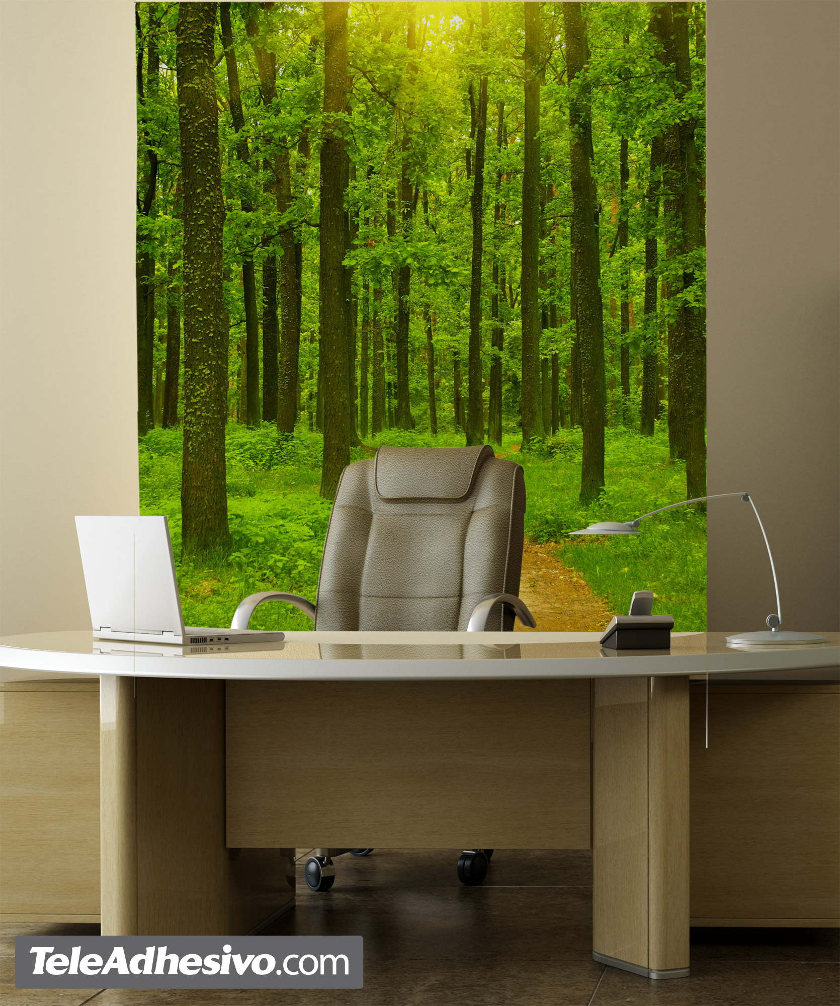 Poster xxl: Coucher de soleil dans la forêt