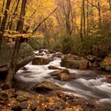 Poster xxl: Rivière de la forêt d'automne 2