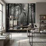 Poster xxl: For&ecirc;t en noir et blanc 5